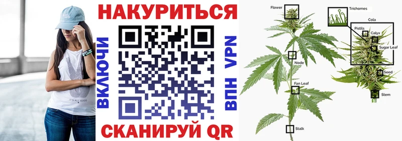 Где купить Вязники КОКАИН ГАШ Псилоцибиновые грибы МАРИХУАНА