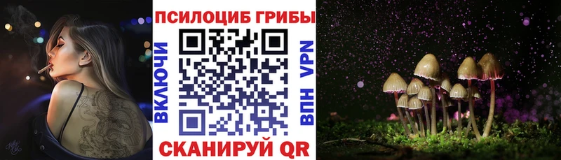 Галлюциногенные грибы мухоморы  Вязники 