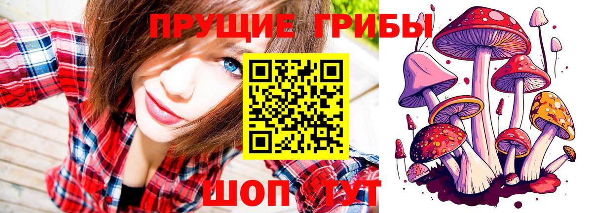 Галлюциногенные грибы Magic Shrooms Вязники