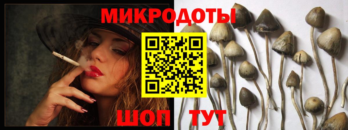 Вязники  Галлюциногенные грибы GOLDEN TEACHER  Вход с VPN 