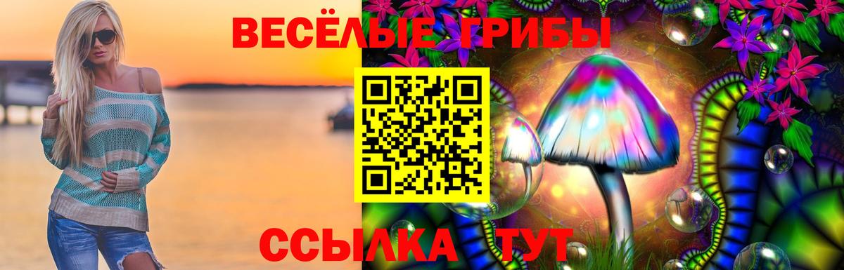 Галлюциногенные грибы прущие грибы  Вязники  что такое   Галлюциногенные грибы ЛСД 
